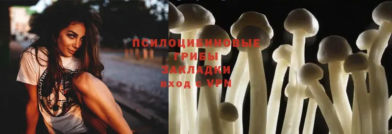 Галлюциногенные грибы MAGIC MUSHROOMS  Отрадный 